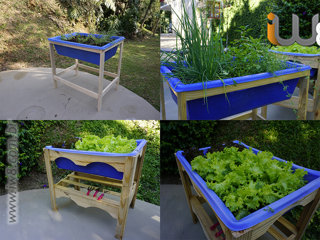 Foto - Caixa para Plantar Verduras