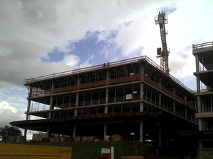 Foto - Bandeja Protetora