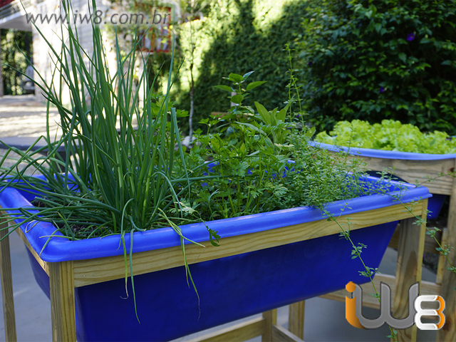 Foto - Caixa de Horta