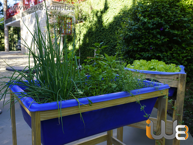 Foto - Maximize o seu Espaço com Horta na Caixa Plástica