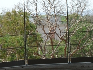 Foto - Proteção com Telas Metálicas para Obras